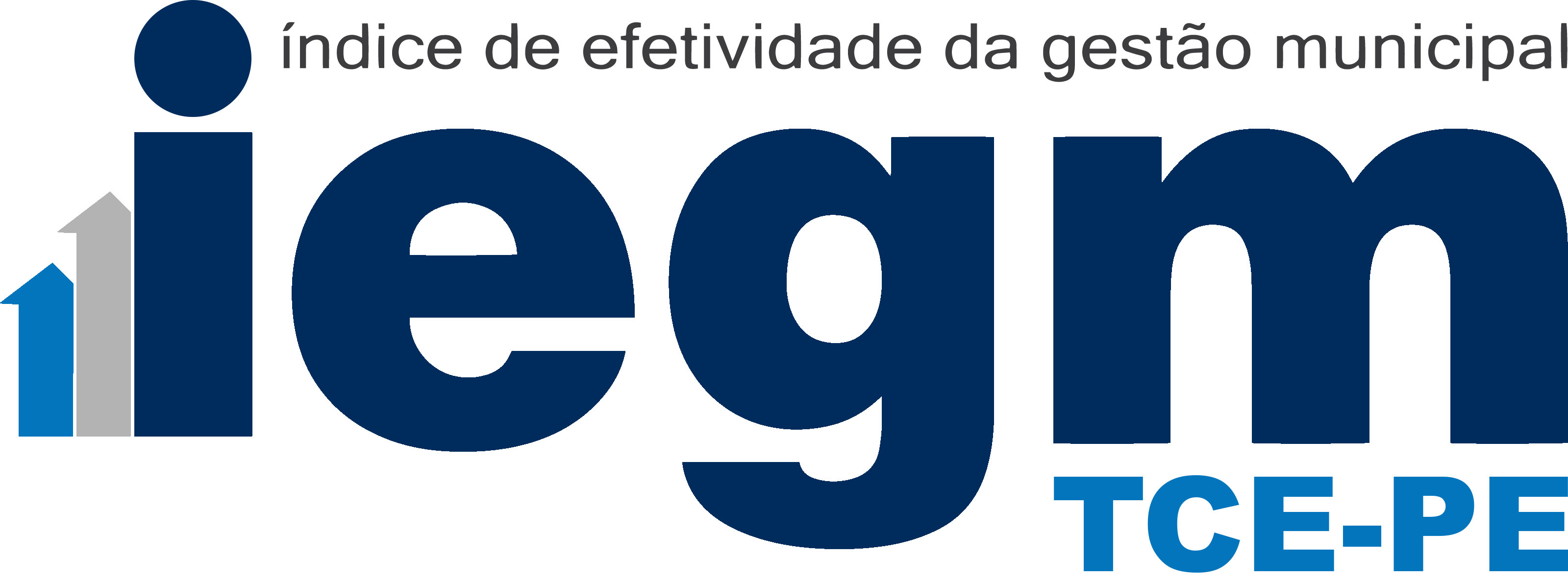Logo IEGM TCE PE